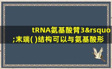 tRNA氨基酸臂3’末端( )结构可以与氨基酸形成酯